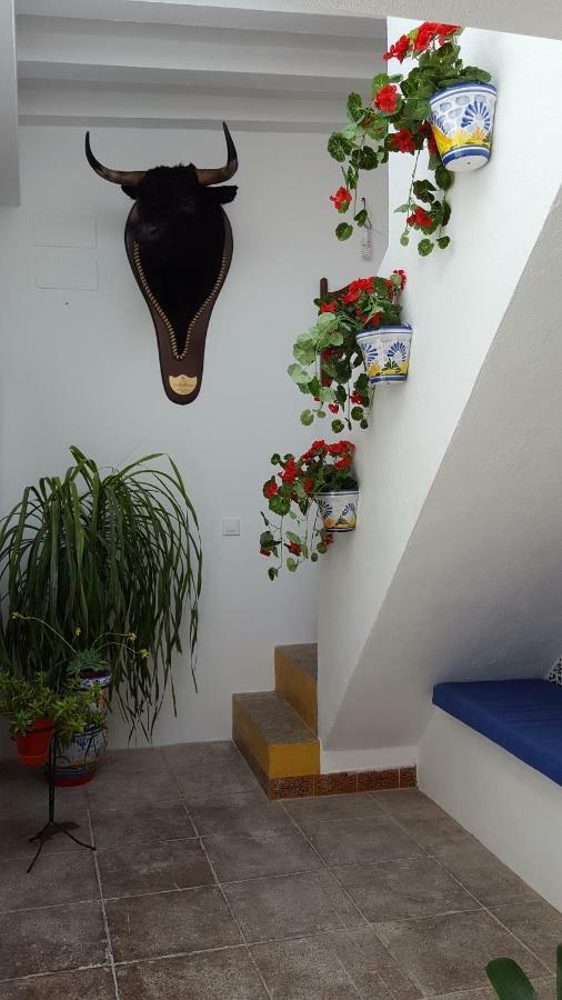 Casa Ricardo " Le Gite " Arcos de la Frontera Dış mekan fotoğraf